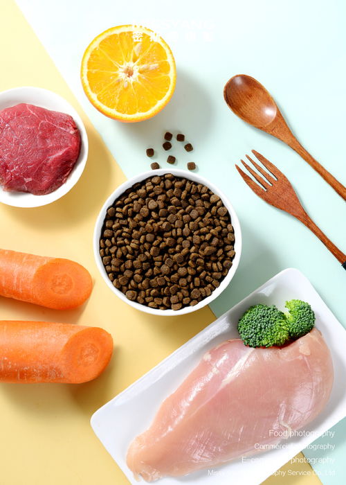 貓糧狗糧攝影 寵物食品攝影 電商攝影 鄭州密斯楊