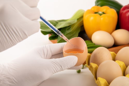 雞蛋食品安全農(nóng)業(yè)科技食品培育攝影圖 插畫 下載至來源處