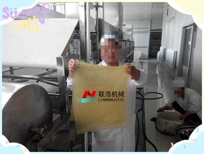 食品加工廠濟南聯浩全自動大型腐竹油皮機一機多用