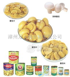 蘑菇罐頭 批發價格 廠家 圖片 食品招商網